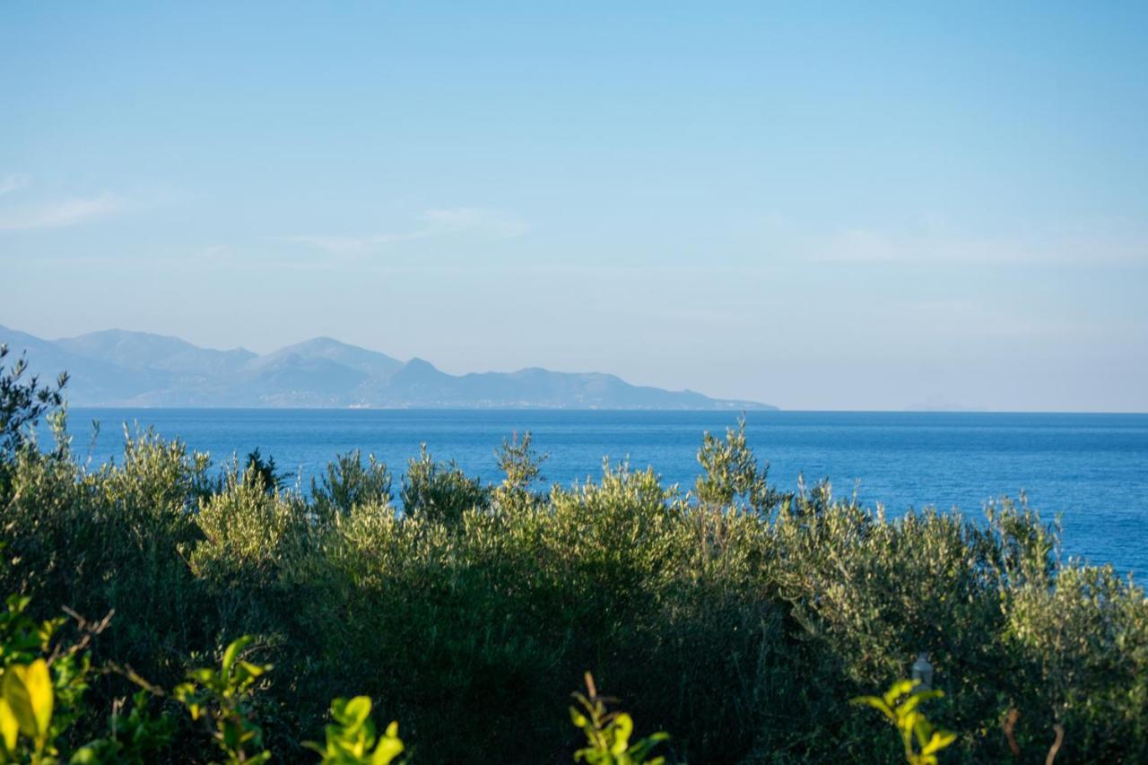 Sosos 2 Bedroom House With Sea View Plános Dış mekan fotoğraf